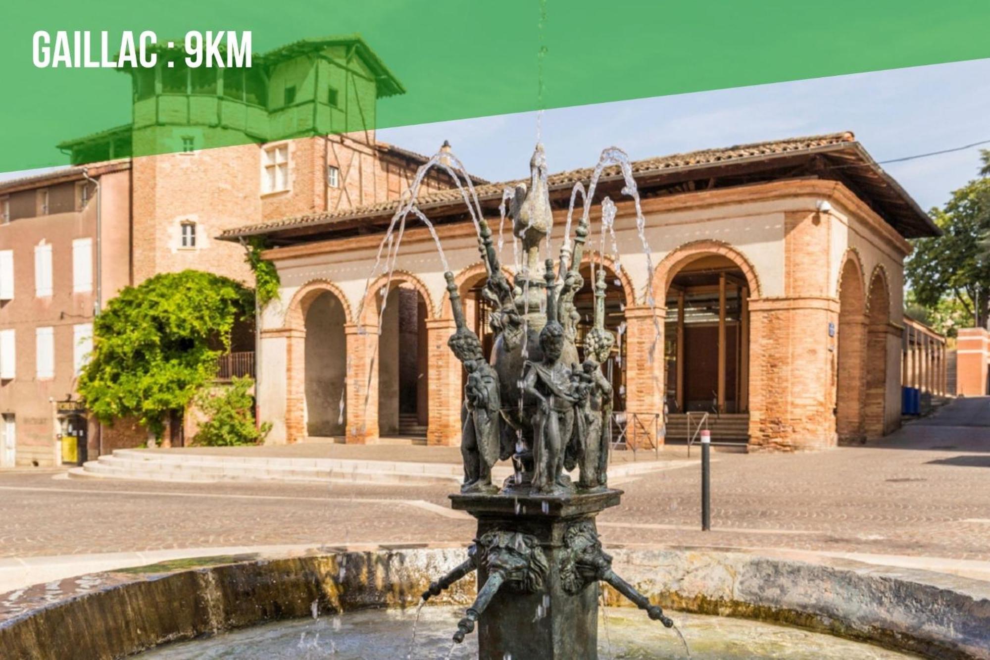 Le Gite Nature Bien-Etre Piscine Chauffee Privee Du Tarn Entre Toulouse Et Albi & Les Cottages Du Tarn Peyrole Εξωτερικό φωτογραφία