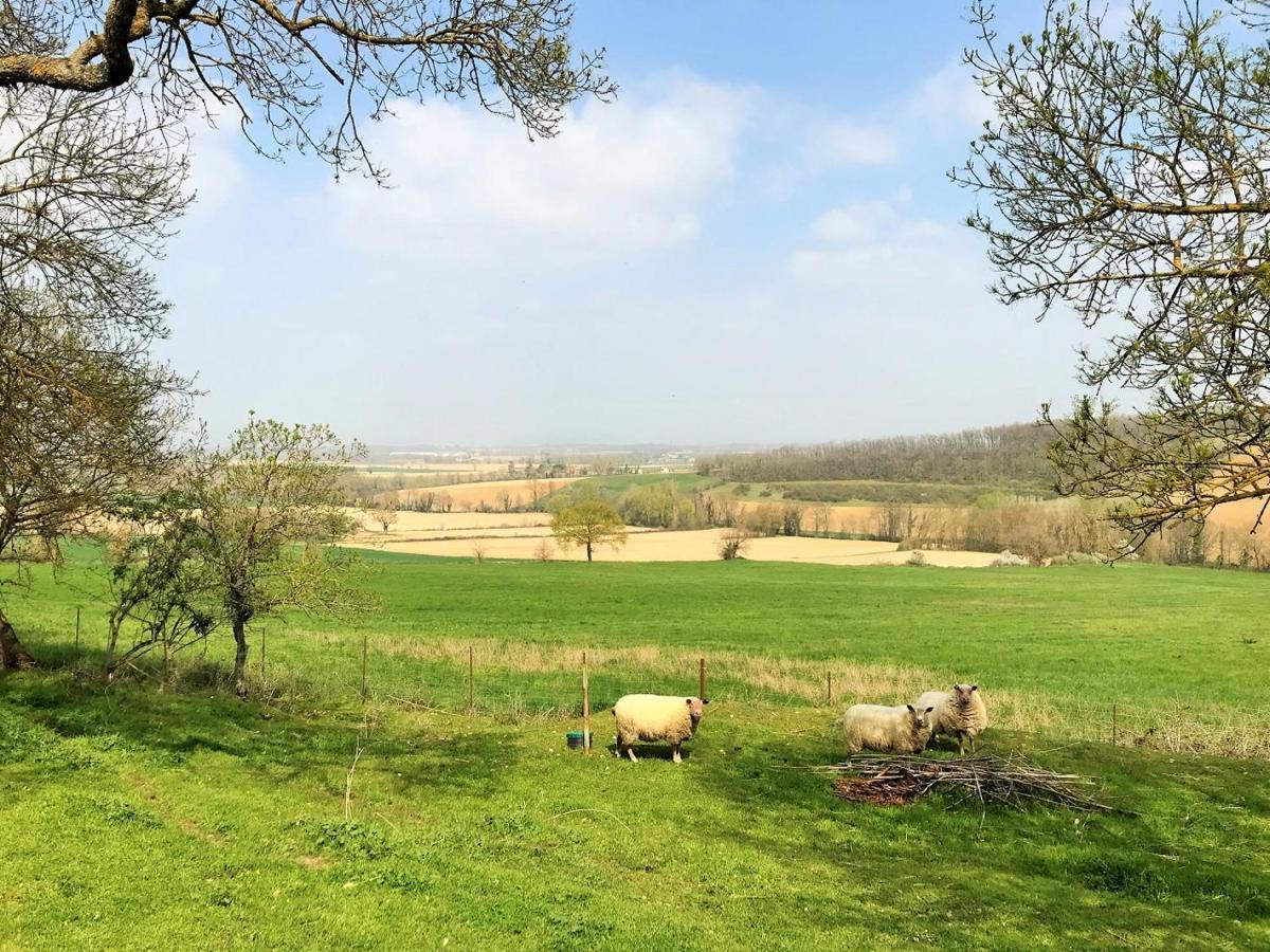 Le Gite Nature Bien-Etre Piscine Chauffee Privee Du Tarn Entre Toulouse Et Albi & Les Cottages Du Tarn Peyrole Εξωτερικό φωτογραφία