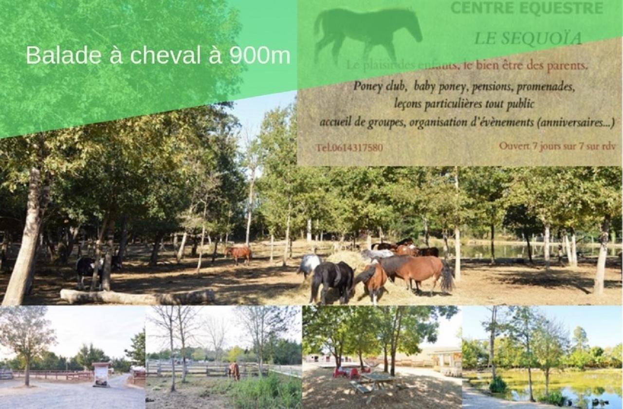 Le Gite Nature Bien-Etre Piscine Chauffee Privee Du Tarn Entre Toulouse Et Albi & Les Cottages Du Tarn Peyrole Εξωτερικό φωτογραφία